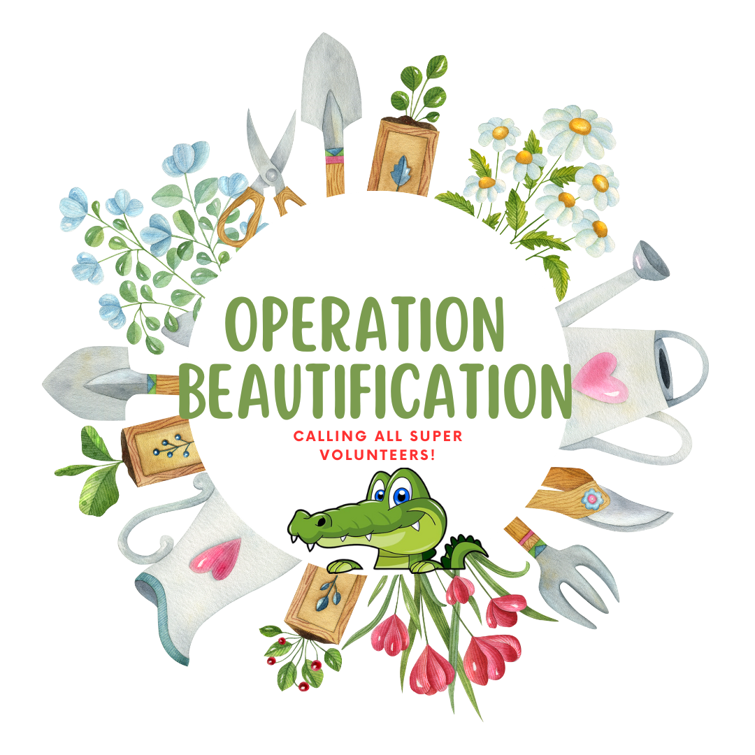  Operation Beautification